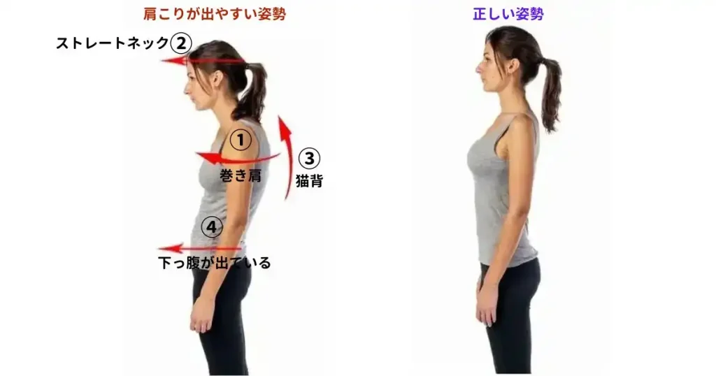 肩こりの原因となる4つの不良姿勢（巻き肩、ストレートネック、猫背、下っ腹が出ている状態）と、理想的な正しい姿勢を比較した解説図。