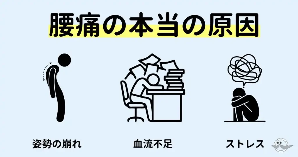 マッサージで治らない腰痛の本当の原因(姿勢の崩れ、血流不足、ストレス)