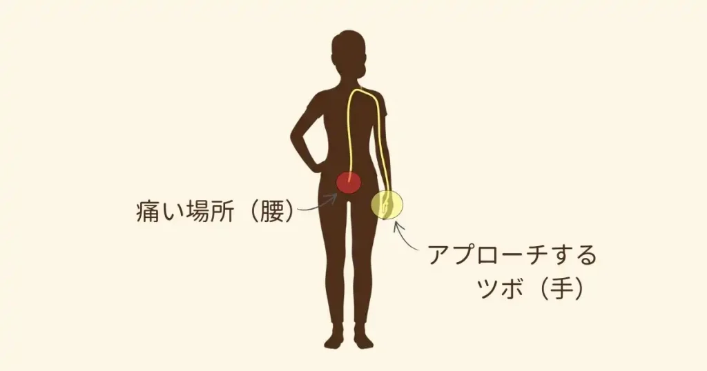 痛い腰ではなく手足のツボを使う「体の繋がり」の図解