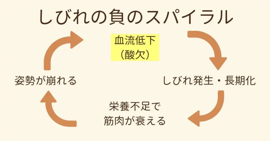 血流低下と姿勢の崩れが引き起こすしびれの負のスパイラル図解
