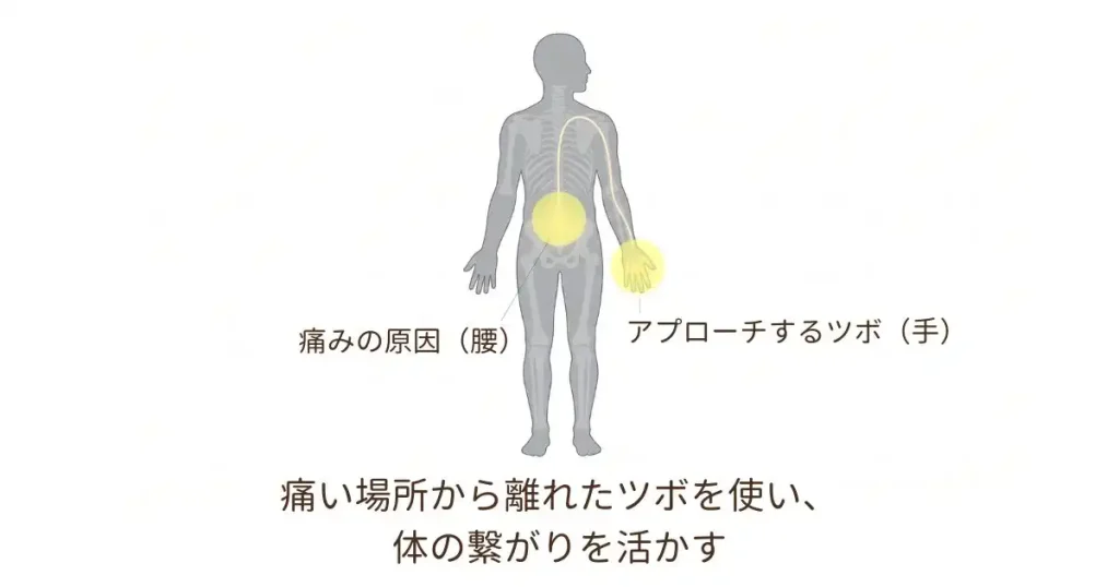 体の繋がりを活かす董氏楊氏奇穴のアプローチ