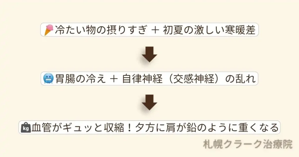 寒暖差や冷たい飲み物で胃腸が冷え、交感神経が働き血管が収縮して血流が低下するメカニズム