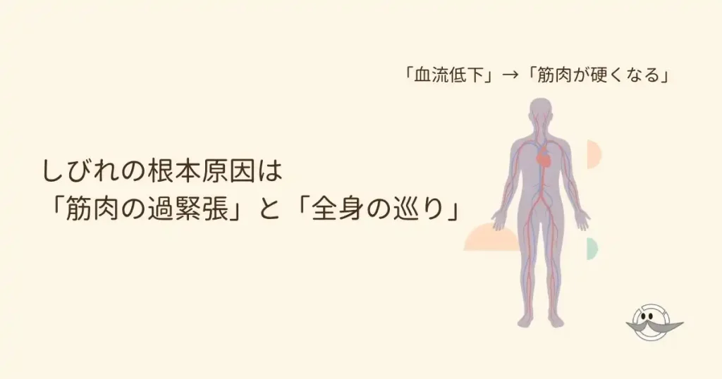 坐骨神経痛としびれに影響する全身の血流と筋肉の硬さのイメージ