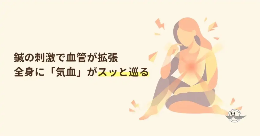 鍼の刺激で血管が拡張し、全身に温かい気血が巡るイメージ