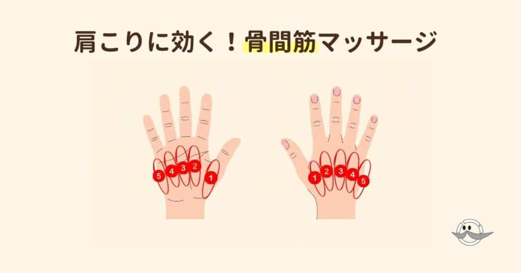 手のひらと手の甲の骨間筋のポイントを示したイラスト