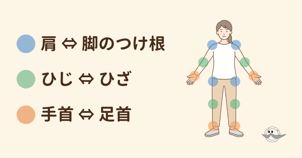 腕と脚の対応（肩と脚のつけ根、ひじとひざ、手首と足首）
